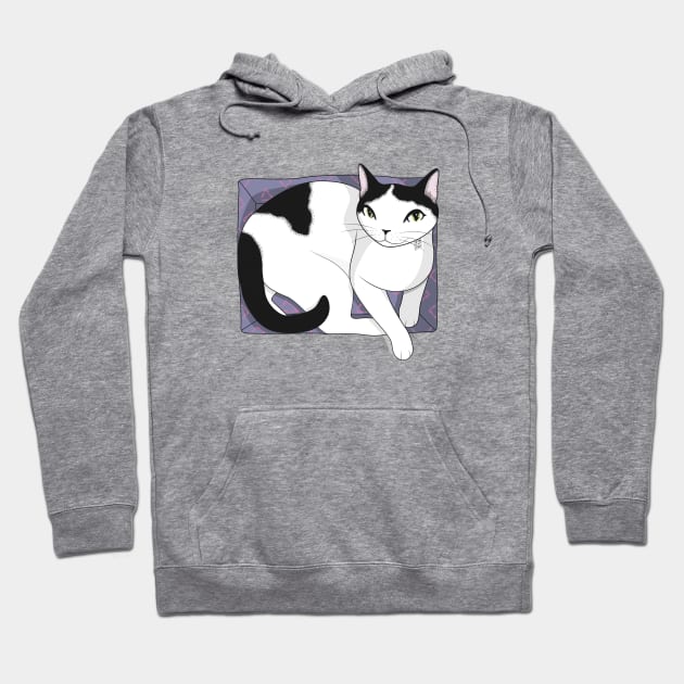 If It Fits, Cat Sits Hoodie by runcatrun